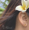 Honu Pierced Earring  yellow gold puton image